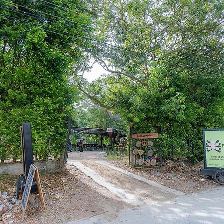 Ayenda Flora Jaguar Bed & Breakfast Ibague Bagian luar foto