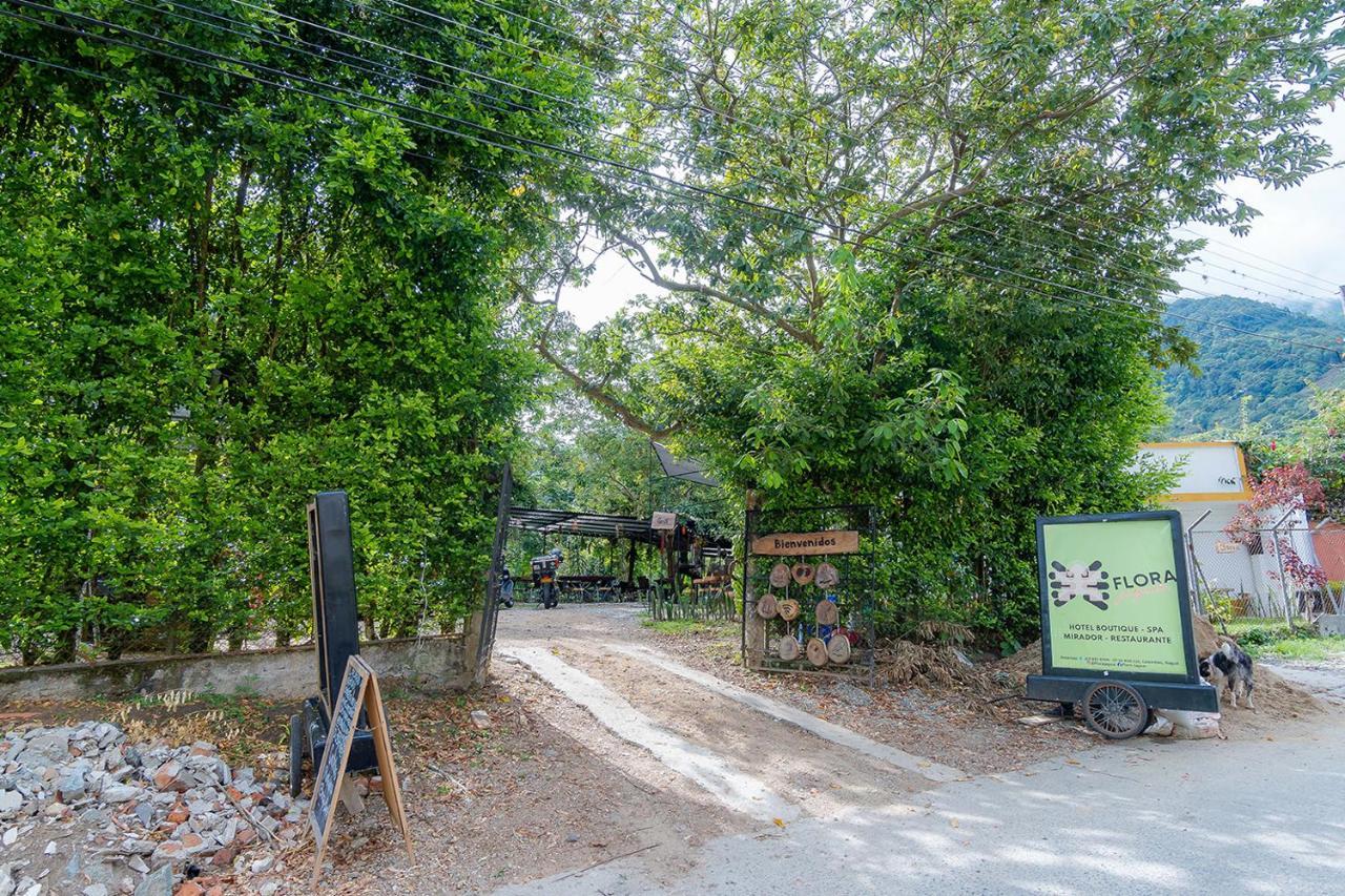 Ayenda Flora Jaguar Bed & Breakfast Ibague Bagian luar foto