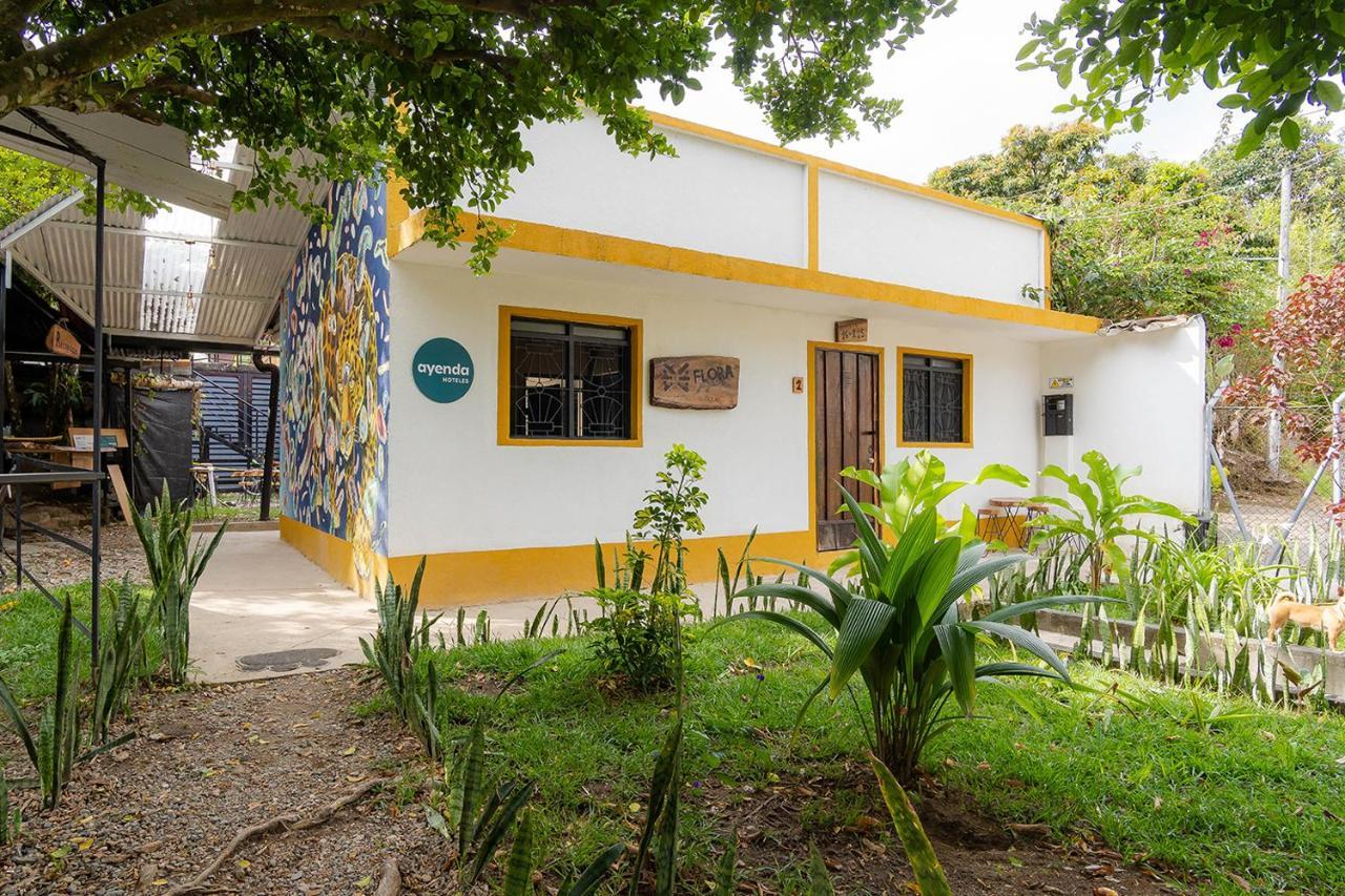 Ayenda Flora Jaguar Bed & Breakfast Ibague Bagian luar foto